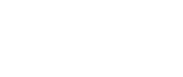 AdoxERP Logo